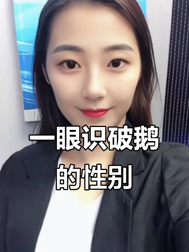 5招轻松辨别鹅公母，新手秒变老司机