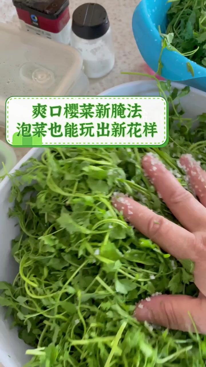 爽口樱菜新腌法,泡菜也能玩出新花样
