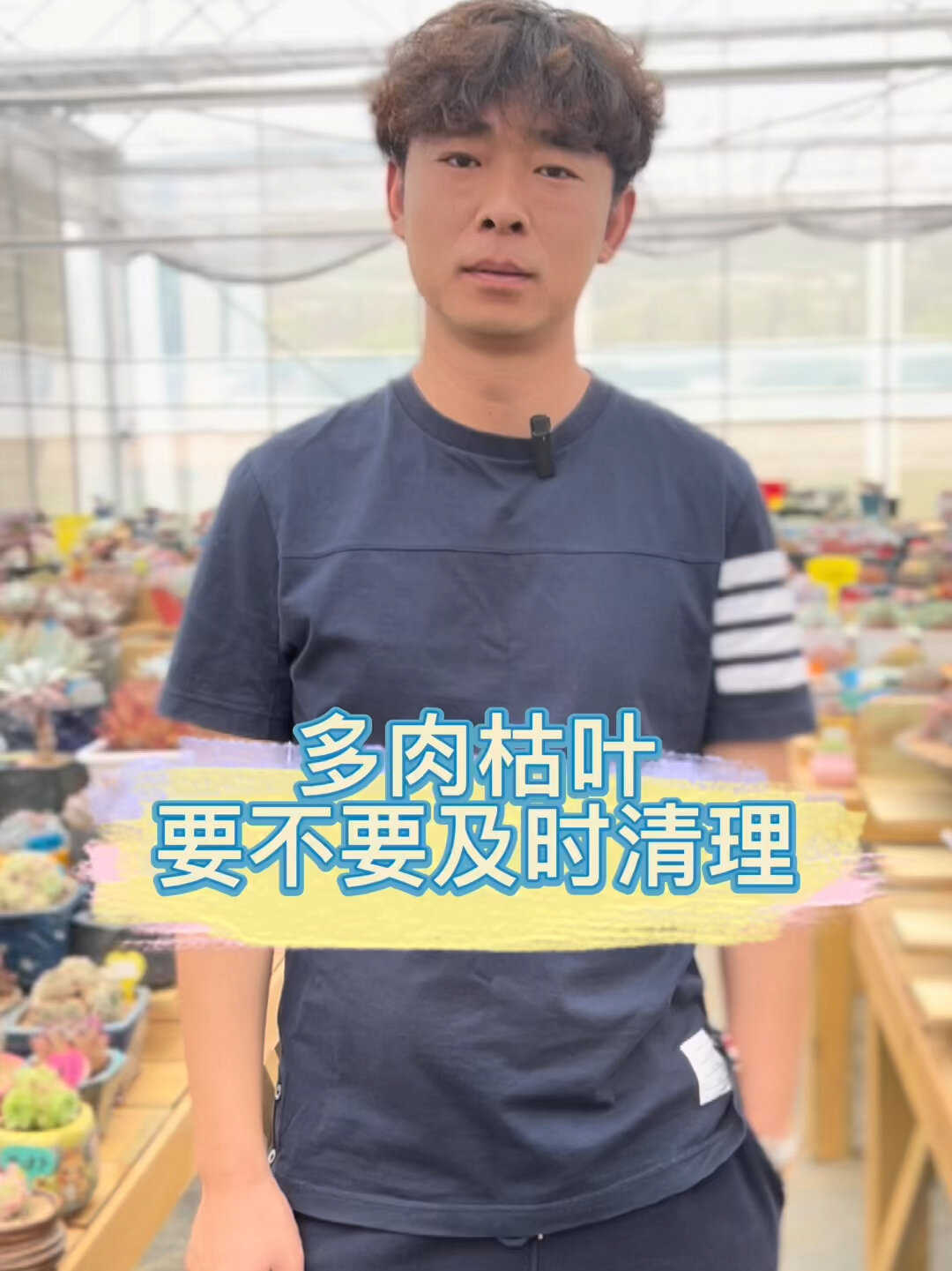 多肉植物枯叶子需要及时清理吗