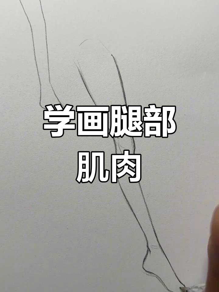 轻松画出腿部肌肉线条，掌握动态结构技巧