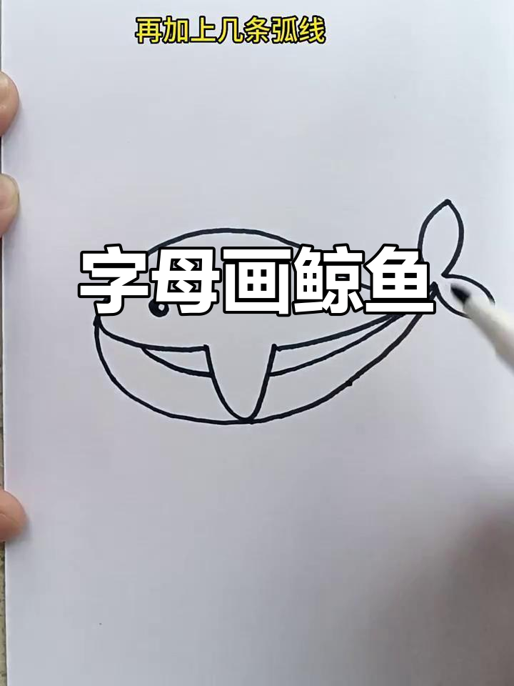 用字母轻松画鲸鱼,简单又好玩