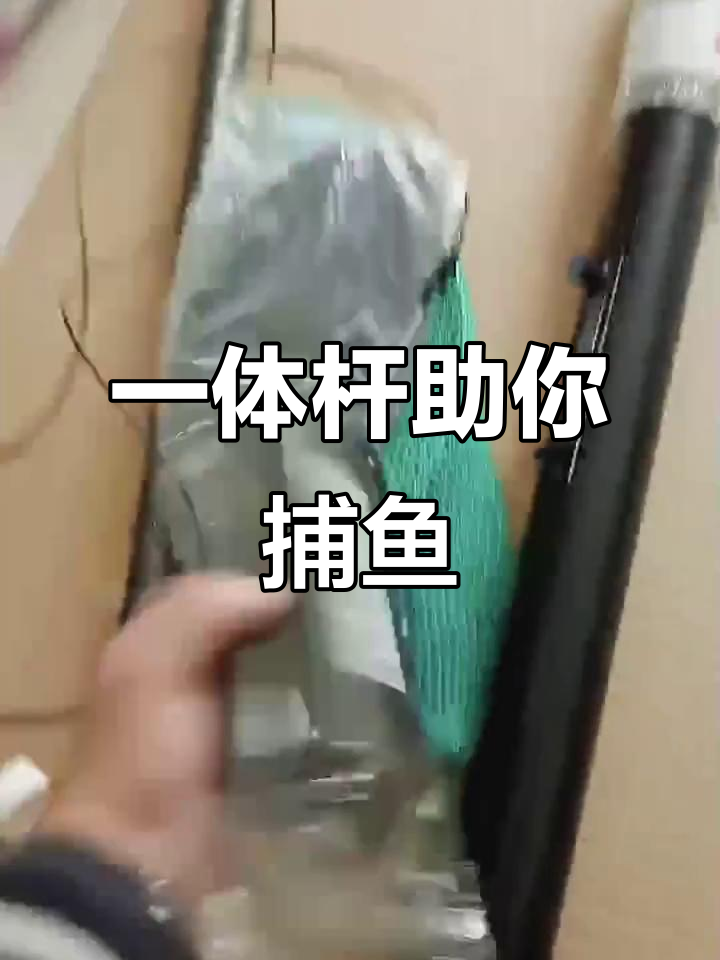 户外一体杆助力新能源捕鱼,轻松抄网更高效