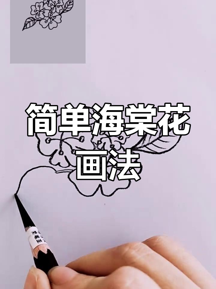 海棠花简笔画教程,轻松学会画五瓣花朵