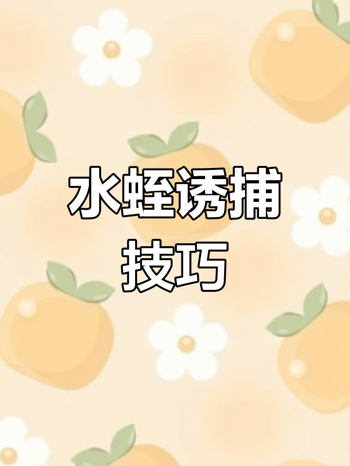 如何用扫把和饵料捕捉水蛭,轻松搞定户外捕捞