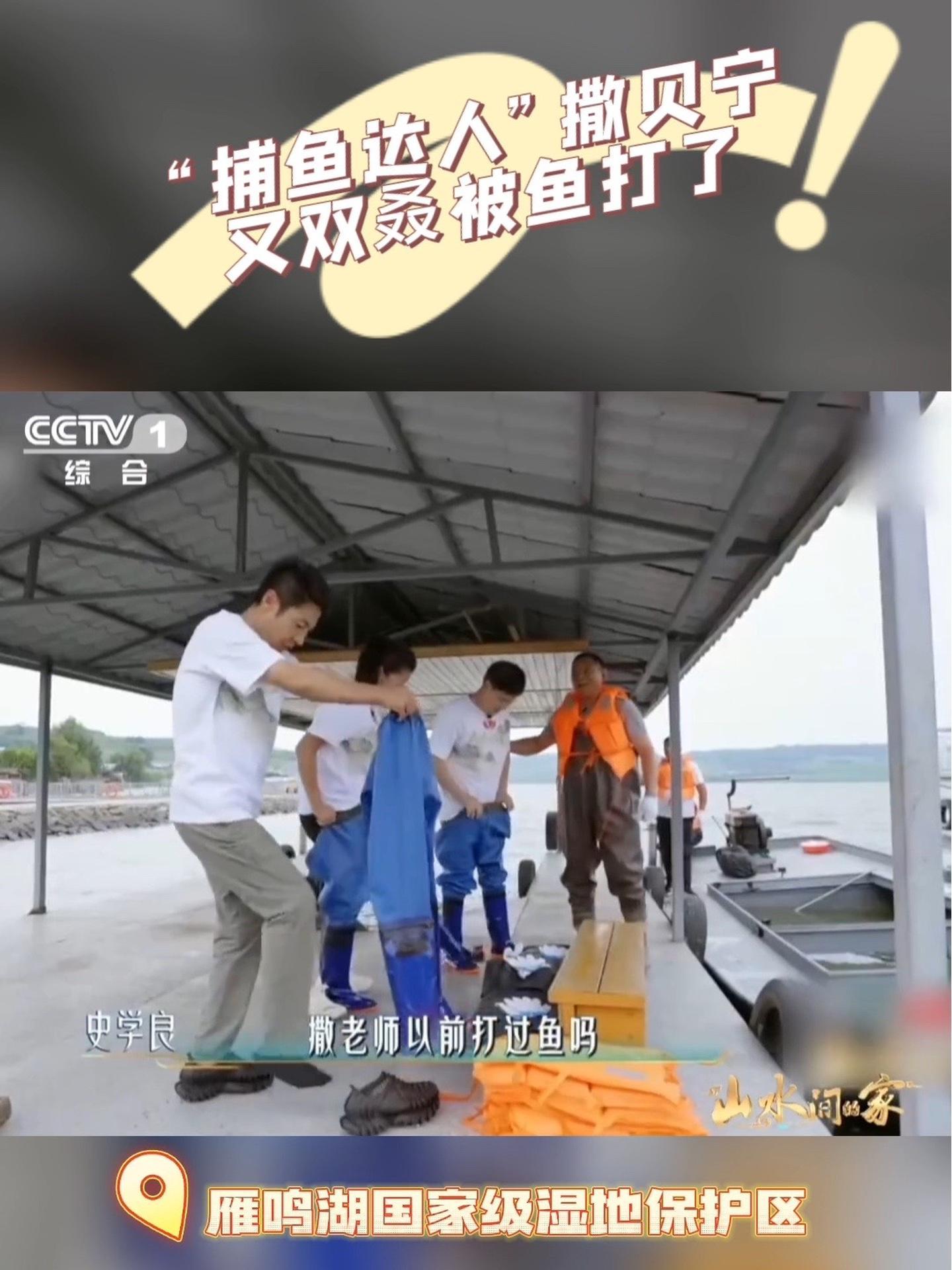 在雁鸣湖国家级湿地保护区,“捕鱼达人”撒贝宁又双叒被鱼打了?这是咋回事儿?山水间的家 吉林