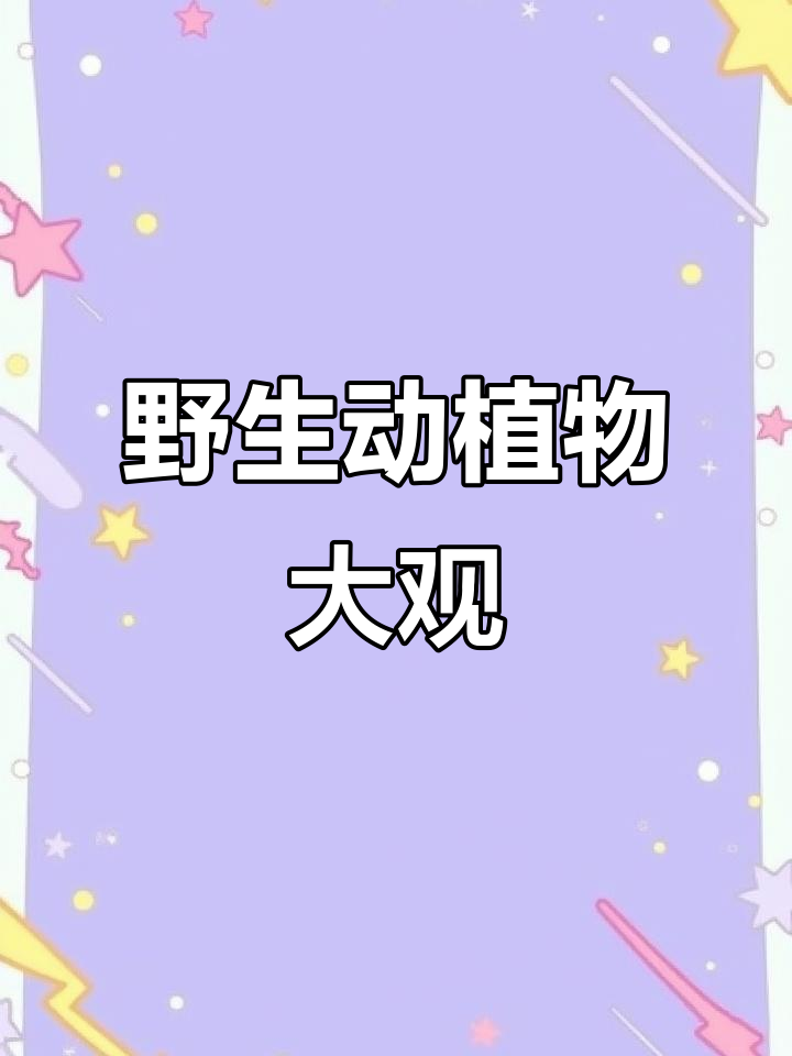 新疆野生动物丰富,鲶鱼虽多却不敢尝试!