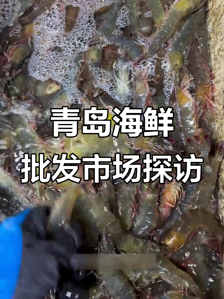 青岛海鲜市场凌晨大揭秘:野生海捕对虾、活八代等新鲜货源一览