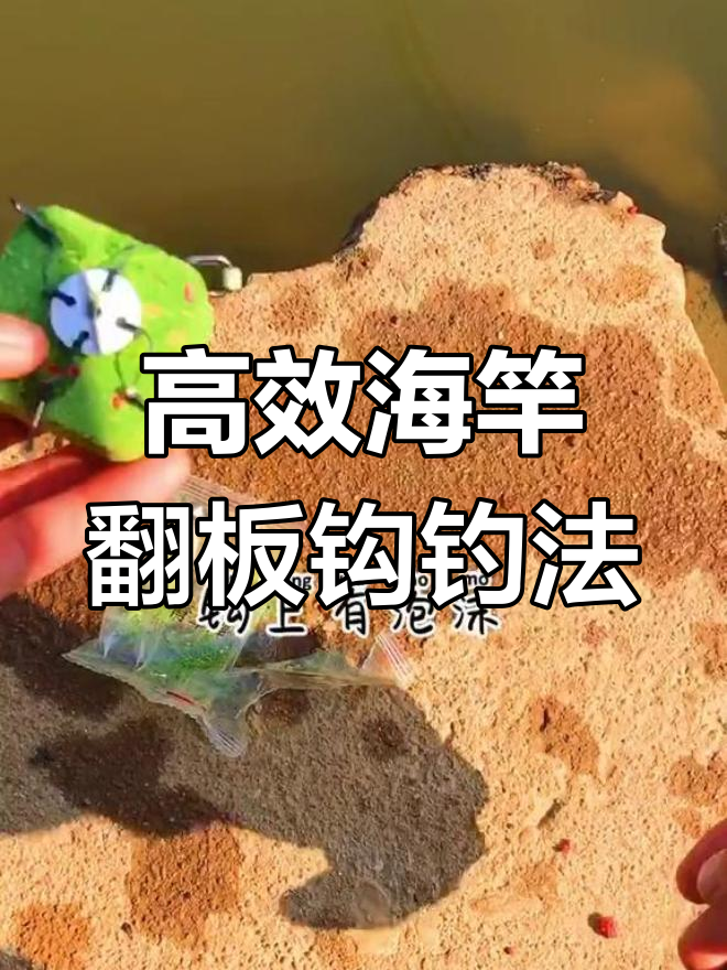 海竿翻板钩钓底层青草鲤鱼技巧,轻松掌握高效率