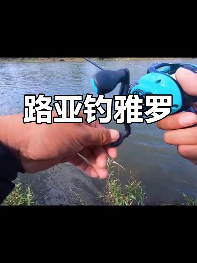 雅罗鱼钓法技巧分享