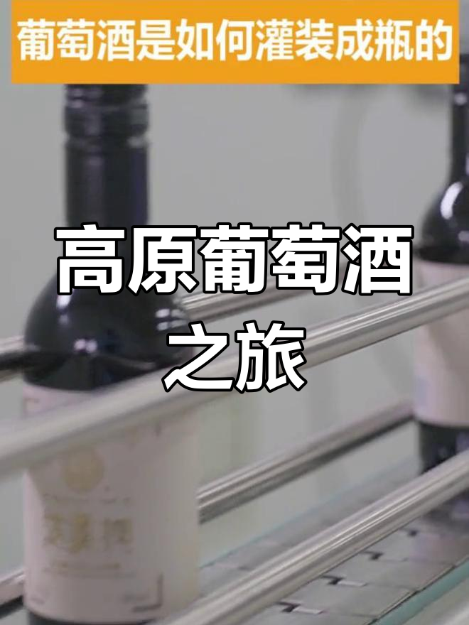 走进高原葡萄酒车间,体验独特酿造与灌装工艺