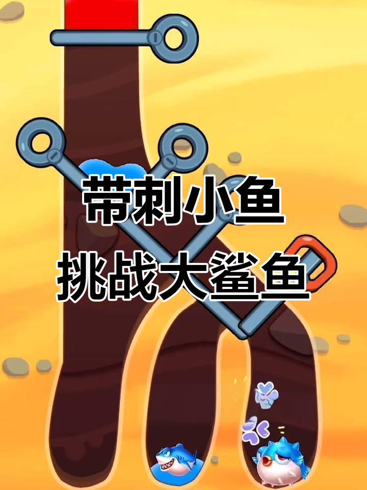 鲨鱼遇到带刺小鱼,竟然被困住了!