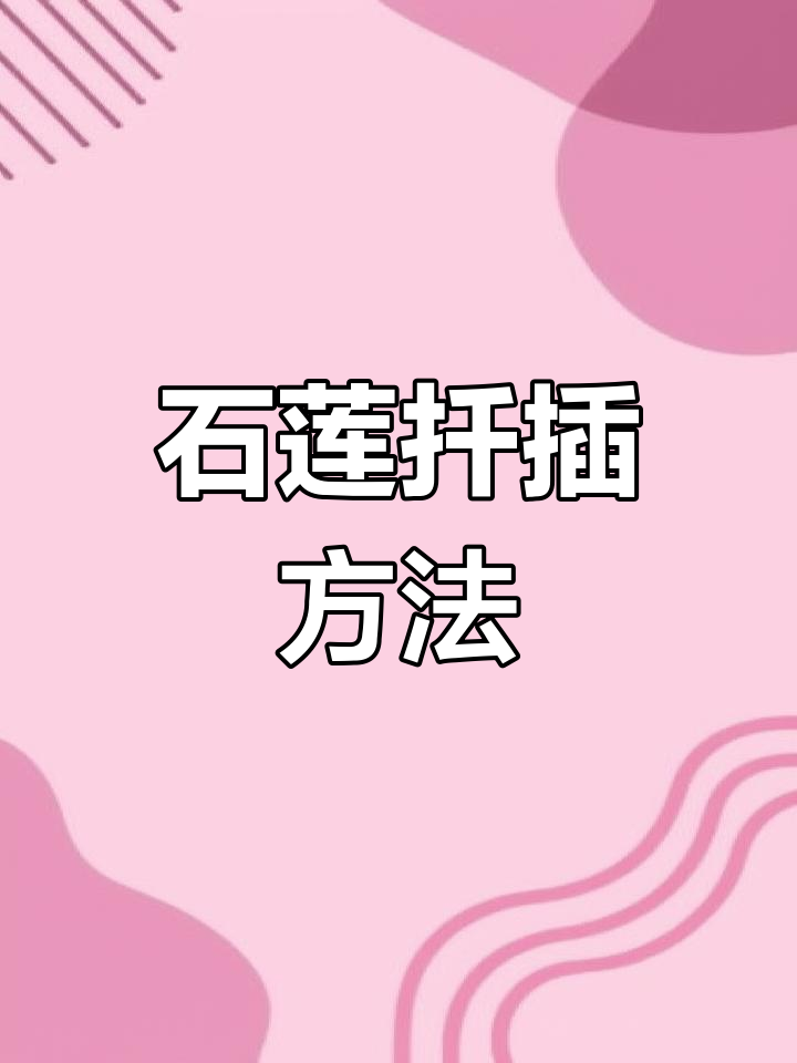 鲁氏石莲扦插技巧,轻松繁殖多肉植物