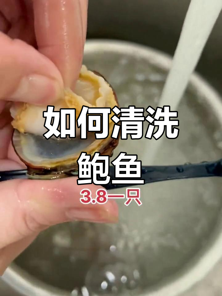 冷冻鲍鱼清洗全攻略