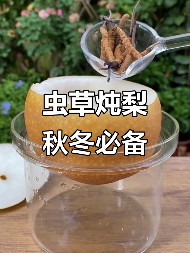 秋季润肺滋补,虫草炖梨加燕窝,营养满分!