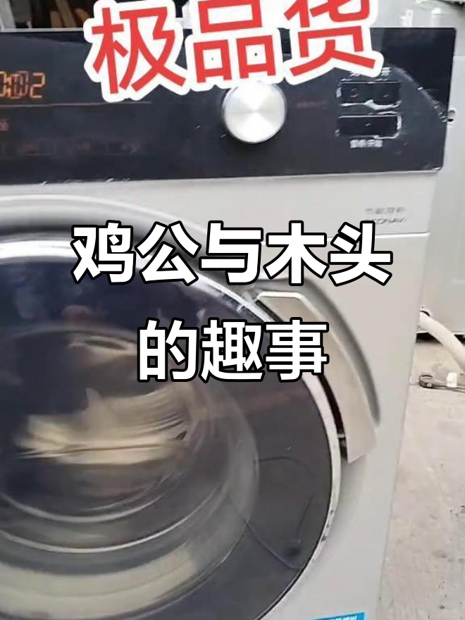 鸡公吃魔女外m死,木头还没死的搞笑时刻