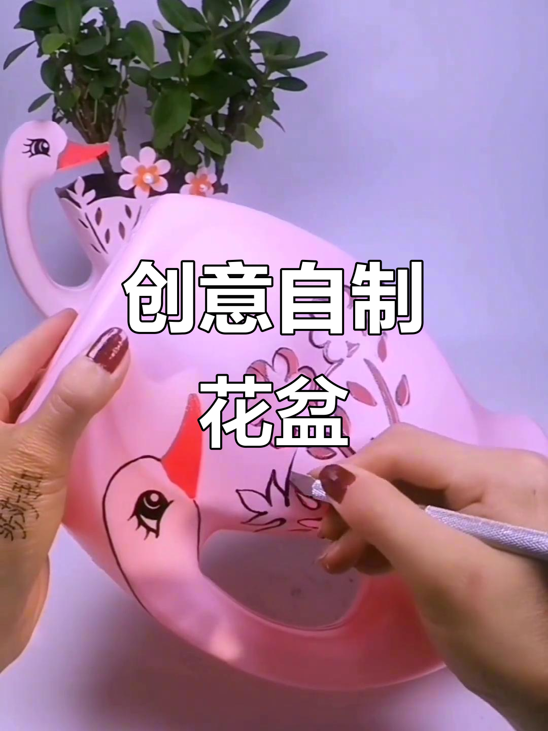 变废为宝!洗衣液瓶子改造花盆教程,轻松打造个性手工