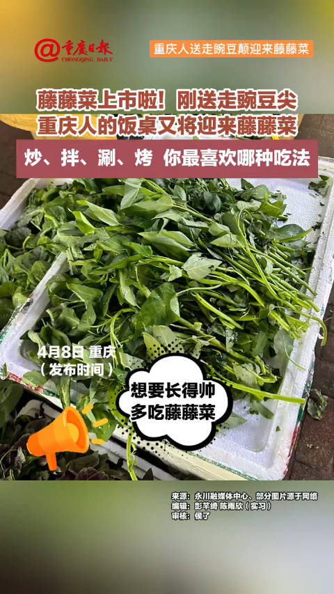 重庆人送走豌豆颠迎来藤藤菜 4月8日,重庆。藤藤菜上市啦!重庆人刚送走豌豆颠,现在饭桌上又