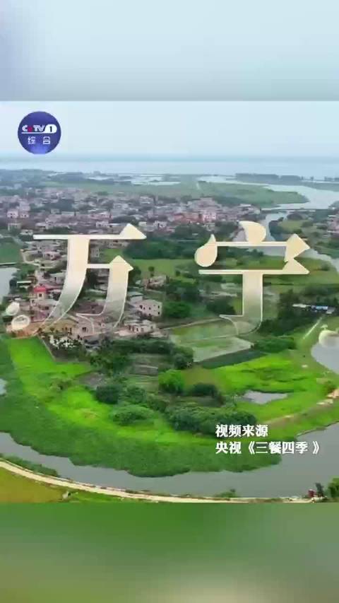 咖啡+油条,撒贝宁、王鸥体验海南早餐的独特打开方式!(来源:央视一套)海南