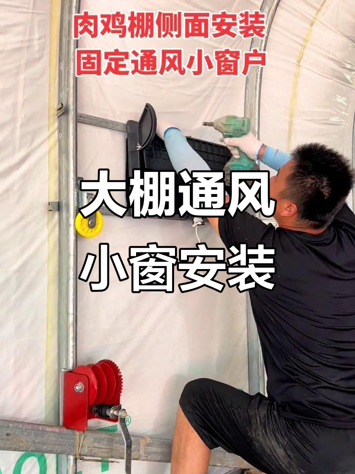 通风小窗安装技巧,轻松搞定肉鸡养殖大棚