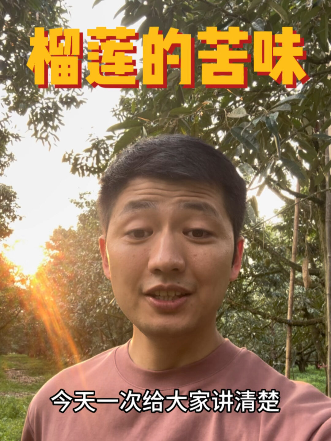 榴莲为什么会发苦?可以吃吗