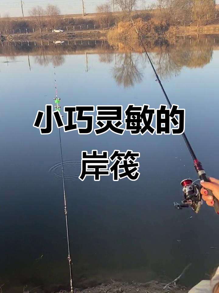软尾筏竿轻松钓鲫鲤,新手也能抛投五六十米