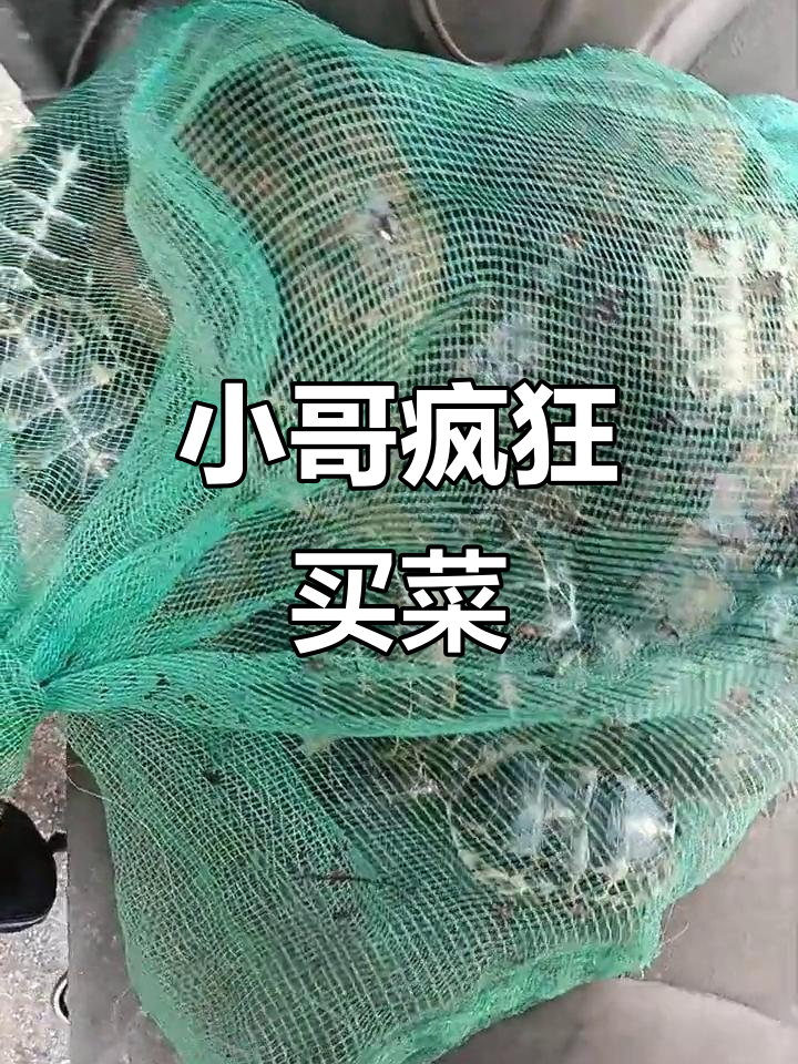 菜市场买肉,小哥买了四十多家店铺的货品
