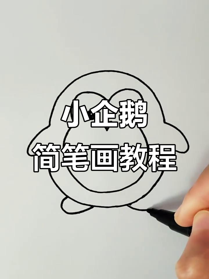 简单步骤教你画可爱小企鹅,轻松上手!