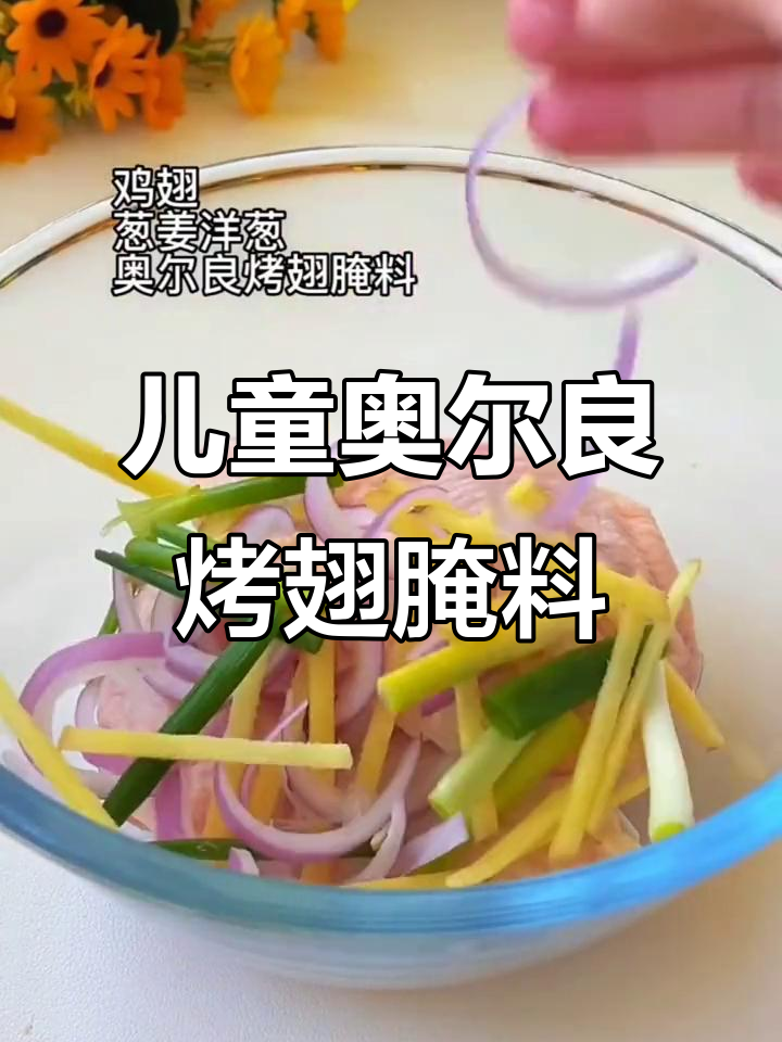 儿童版奥尔良烤翅腌料,干净不辣,独立包装超方便
