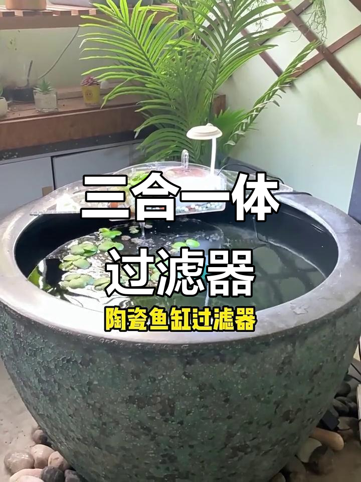 圆形鱼缸必备,三合一过滤增氧泵,颜值与功能并存