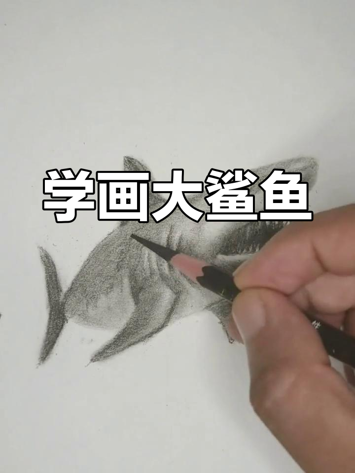 零基础学画画,大鲨鱼轻松搞定!