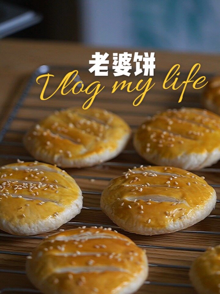 甜而不腻层层香酥 老婆饼 蒸烤箱食谱