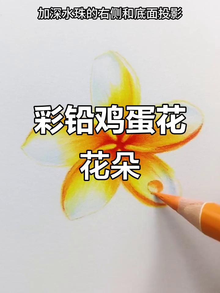彩铅画鸡蛋花,步骤简单又有趣