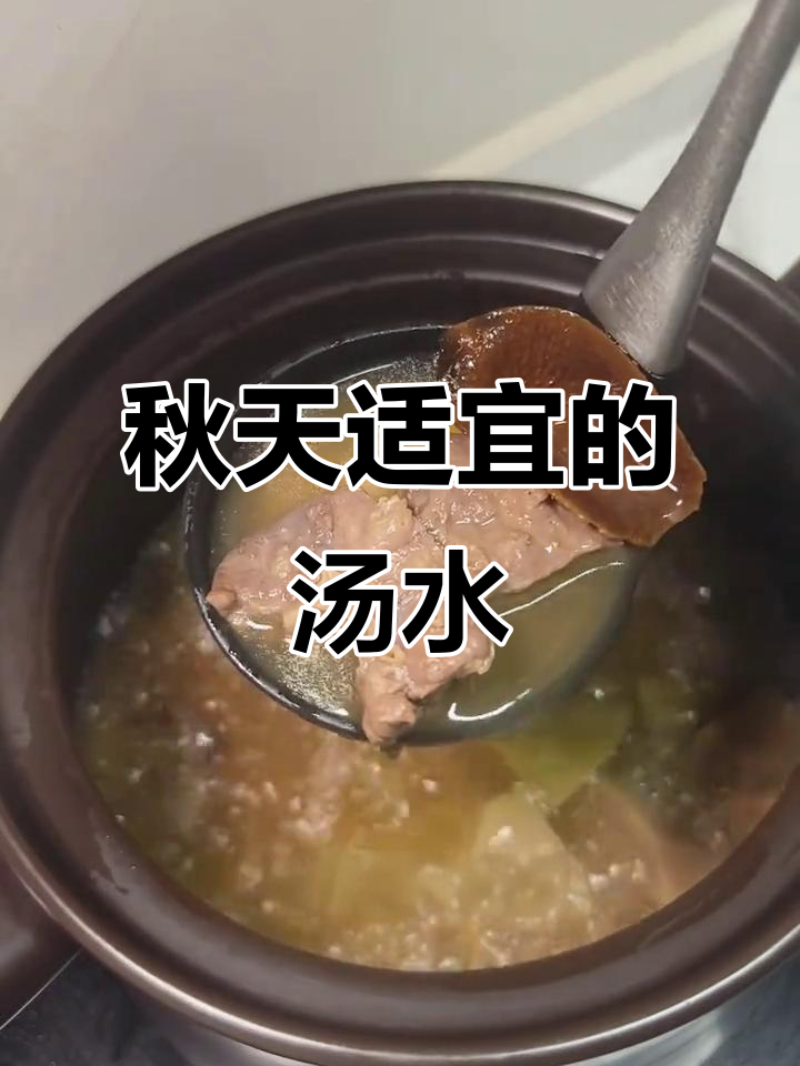 秋季润燥汤,青橄榄萝卜煲猪肺,广东老火靓汤