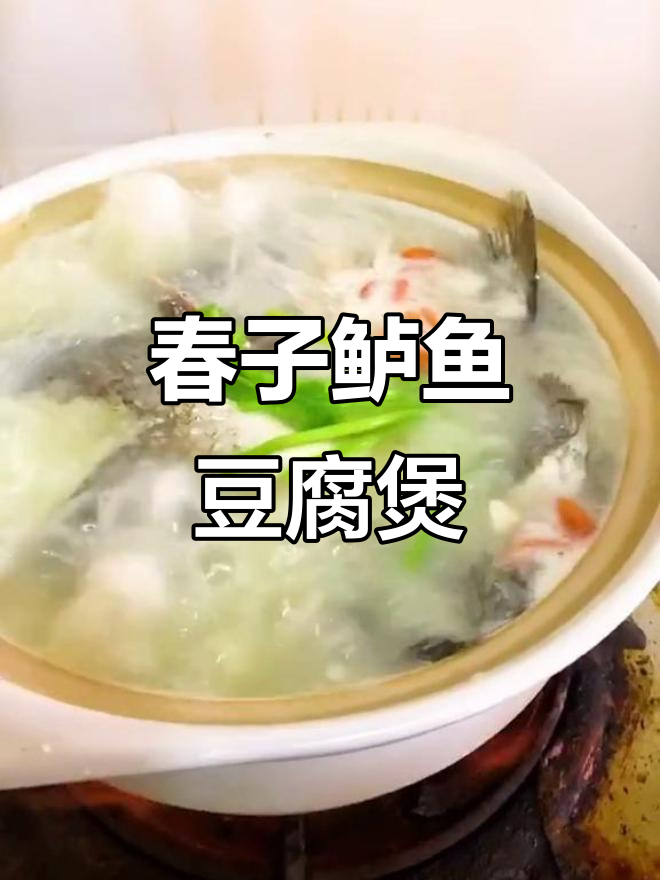 春子鲈鱼豆腐煲,简单又鲜美,家常做法大揭秘