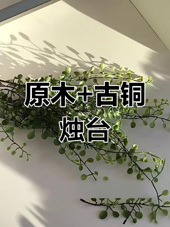 古铜烛台与原木搭配,打造复古高级感道具组合