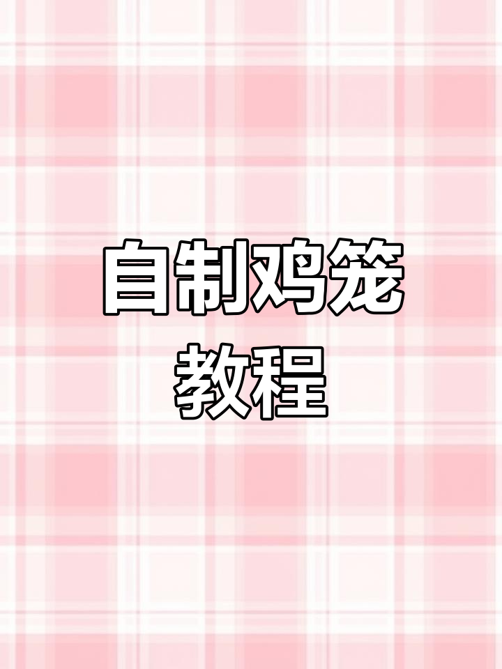 孤岛生存新发现:自制鸡笼与养鸡场建造技巧