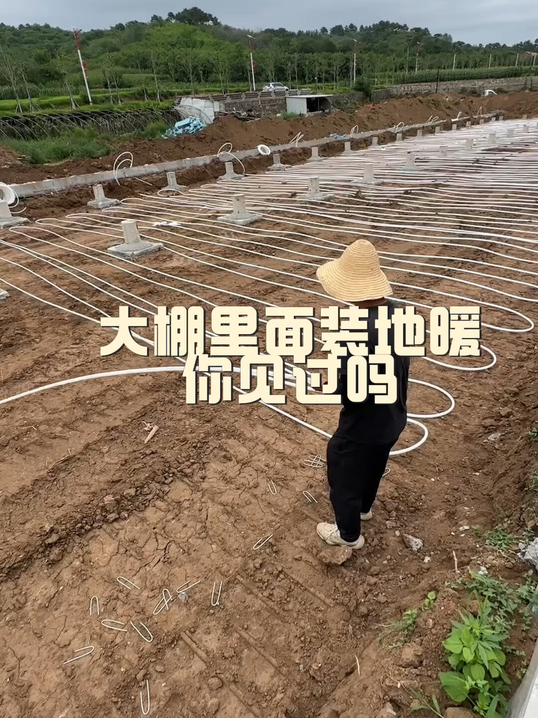组装式地上大棚里面装地暖你见过吗