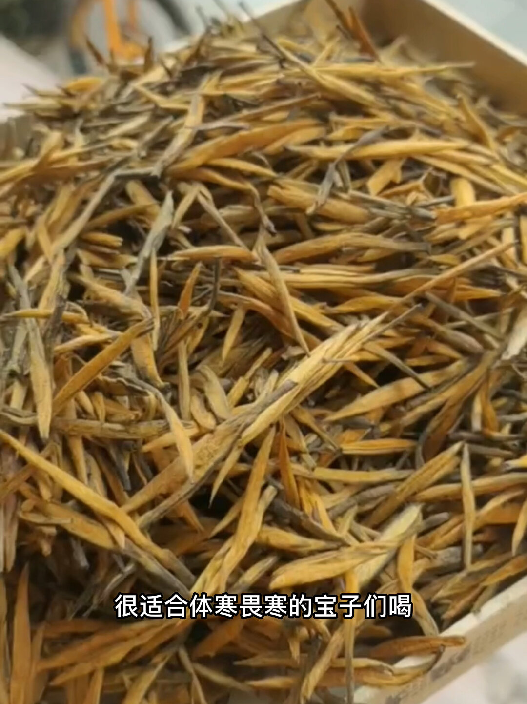 长的像黄花菜的茶叶