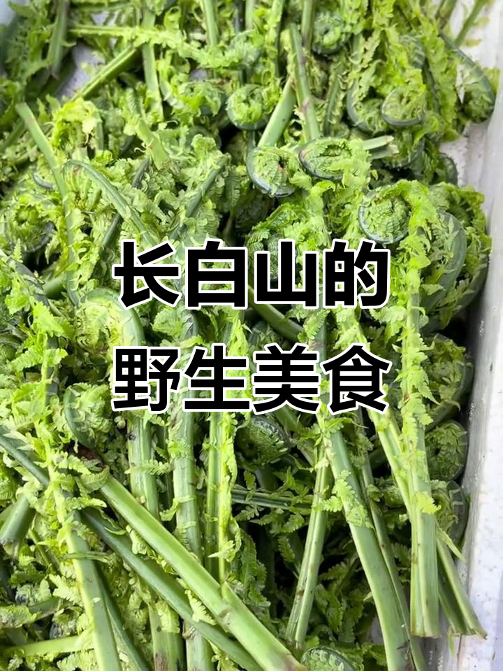 长白山脚下的美味特产,广东菜与山野菜的完美结合