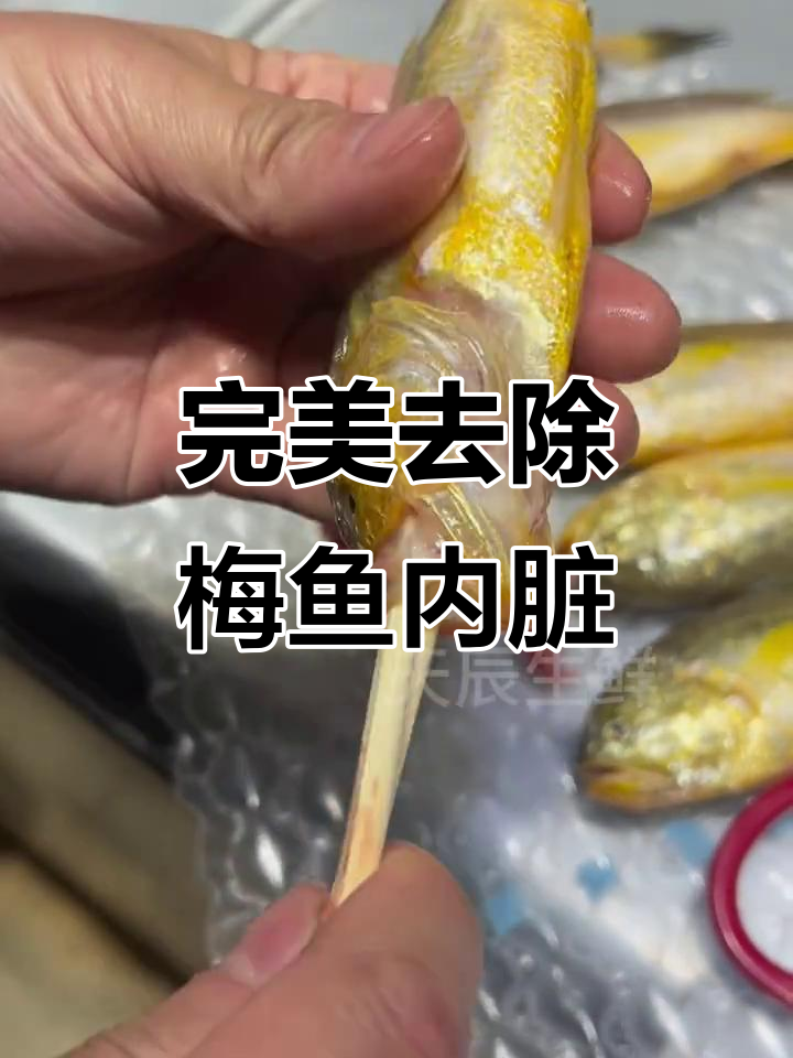 梅鱼去内脏技巧大揭秘,筷子轻松搞定
