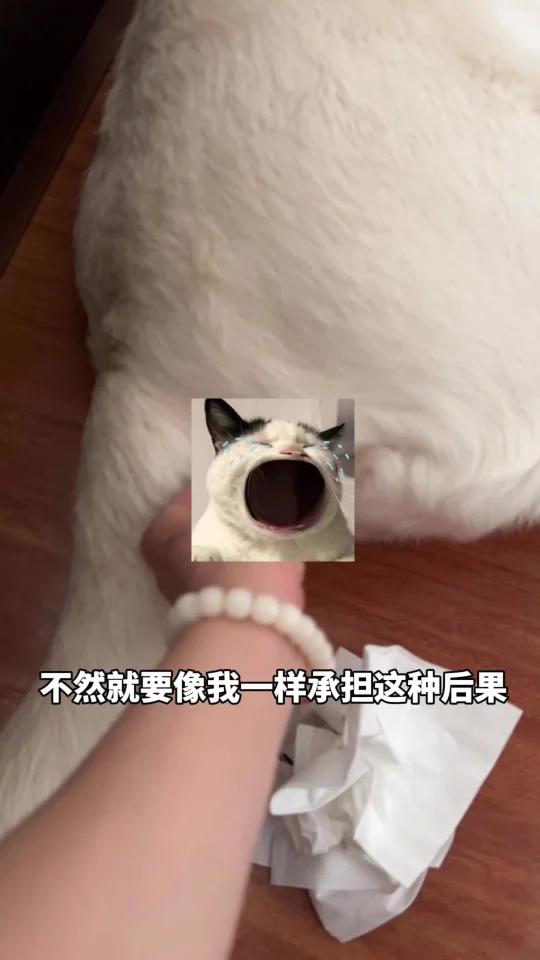 不建议给小狗吃红苋菜