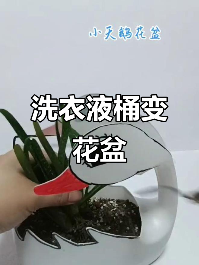 废旧洗衣液桶变身可爱小天鹅花盆,DIY手工教程