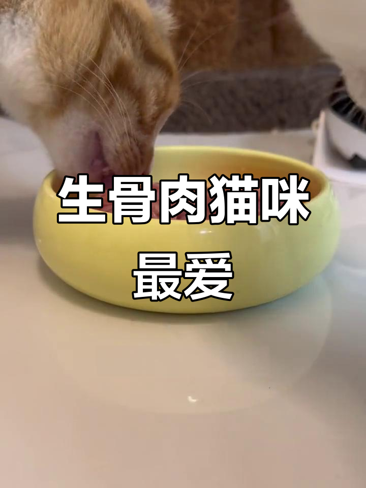 怀特喵生骨肉猫粮,高蛋白营养全保留