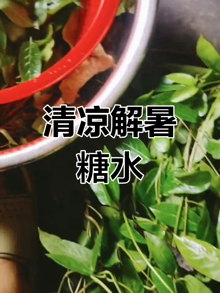 鸡屎藤糖水,消暑解毒,老少皆宜!