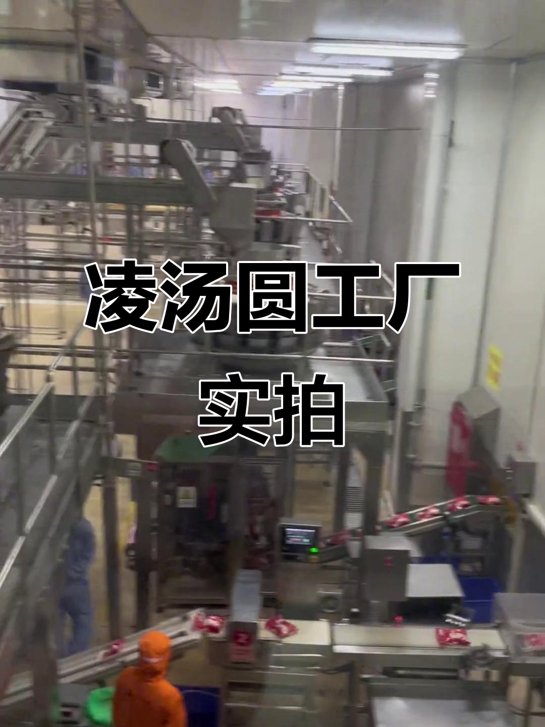 凌汤圆工厂内部大揭秘，恐龙般的机器与员工互动
