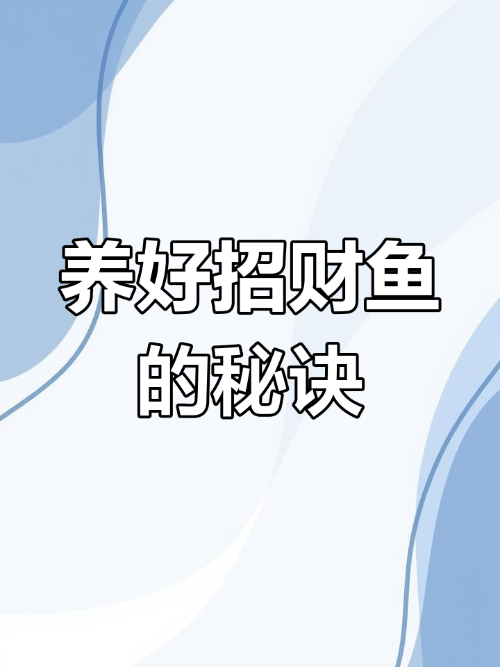 招财鱼养殖全攻略:从喂食到注意事项