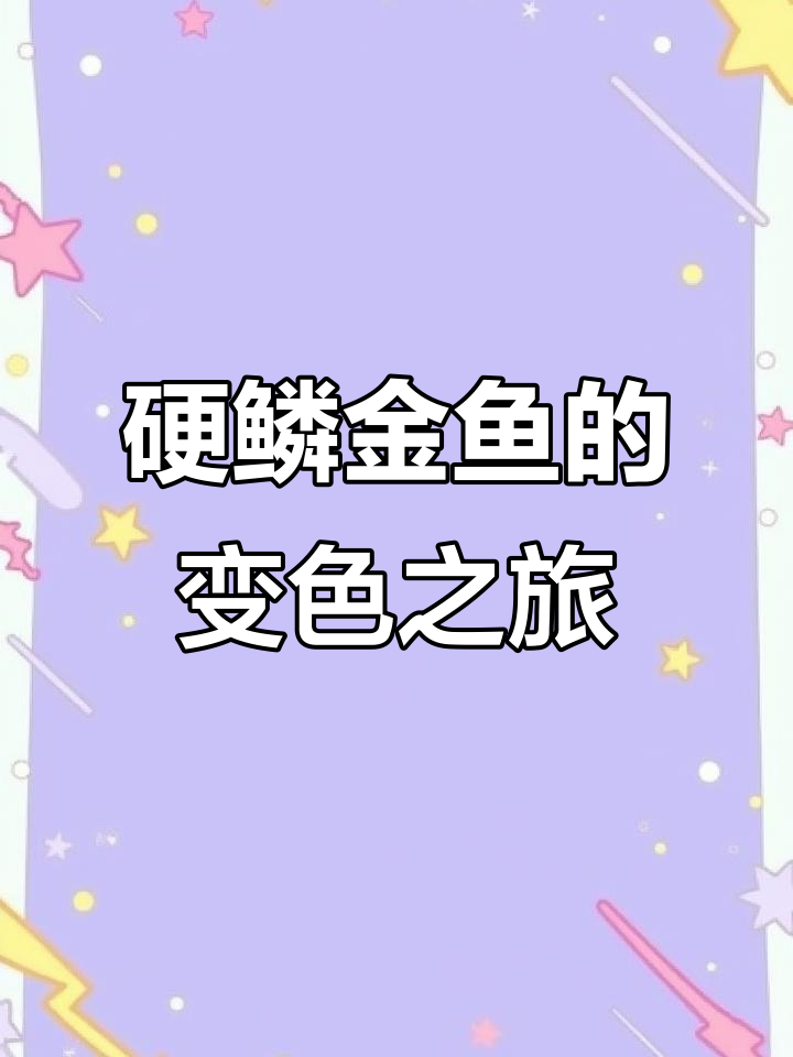 硬鳞泰狮金鱼:从青橘色到五彩斑斓的蜕变过程