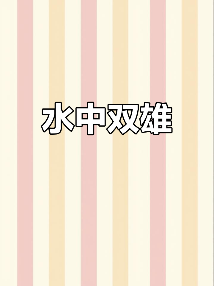 海豚与鲨鱼,水中的两大巨星,揭秘它们的生存奥秘