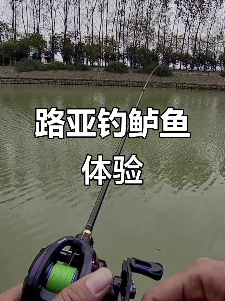 长江支流路亚钓鲈鱼,漂移洗腮超刺激