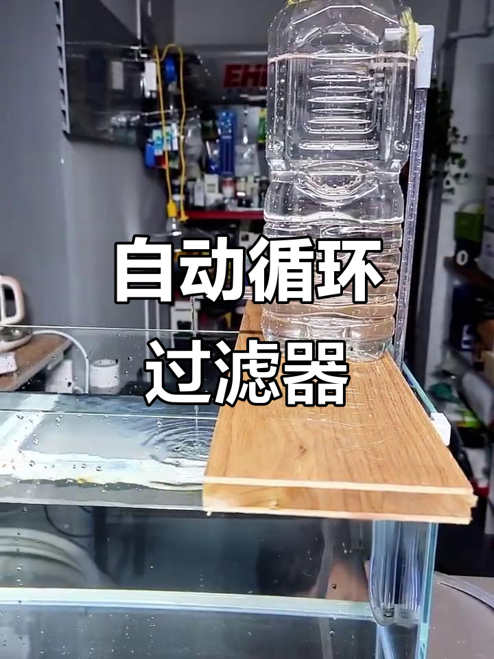 不用油电,鱼缸水自动循环过滤的神奇装置